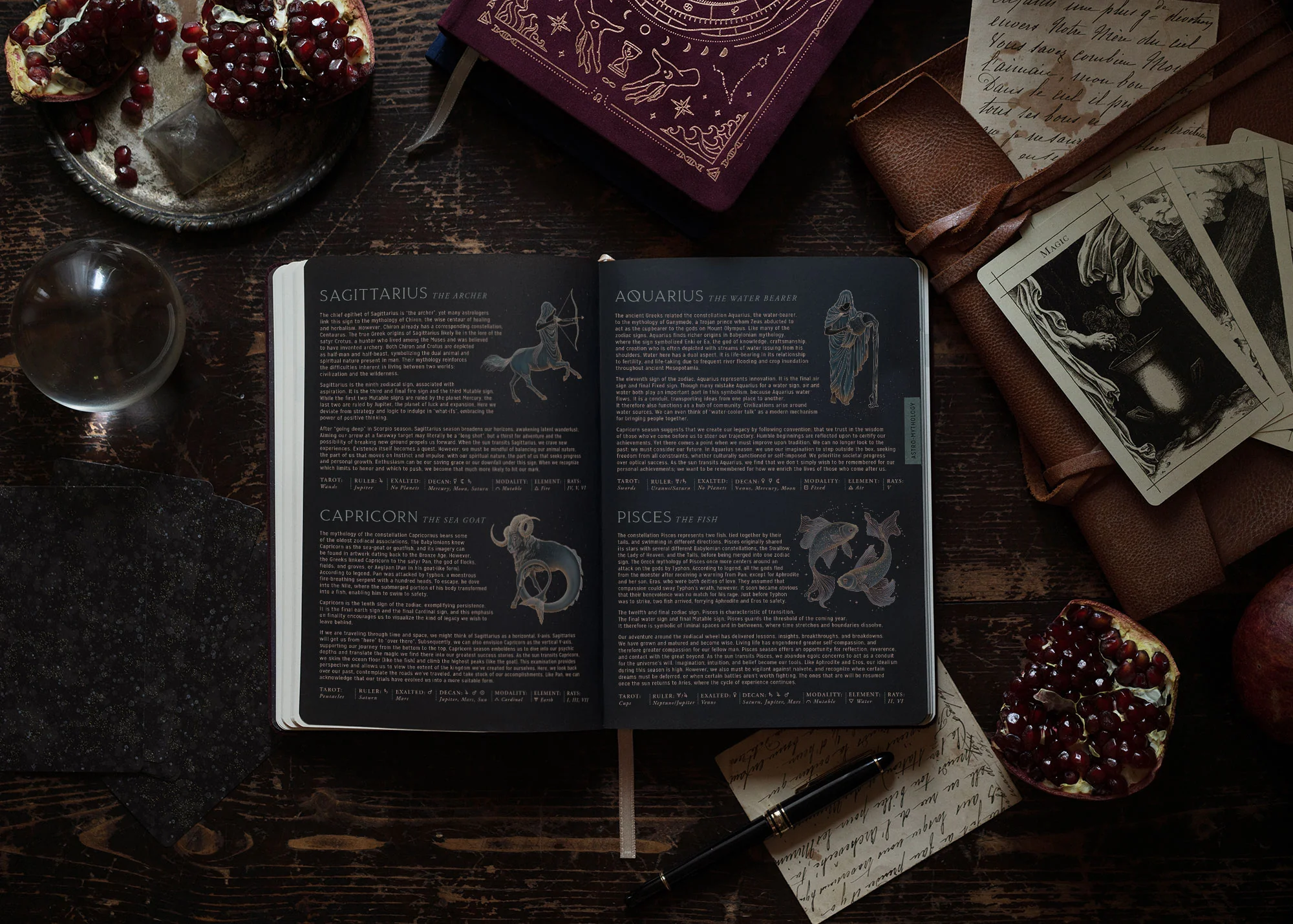 2026 Astrological Planner - Midnight - Image 9