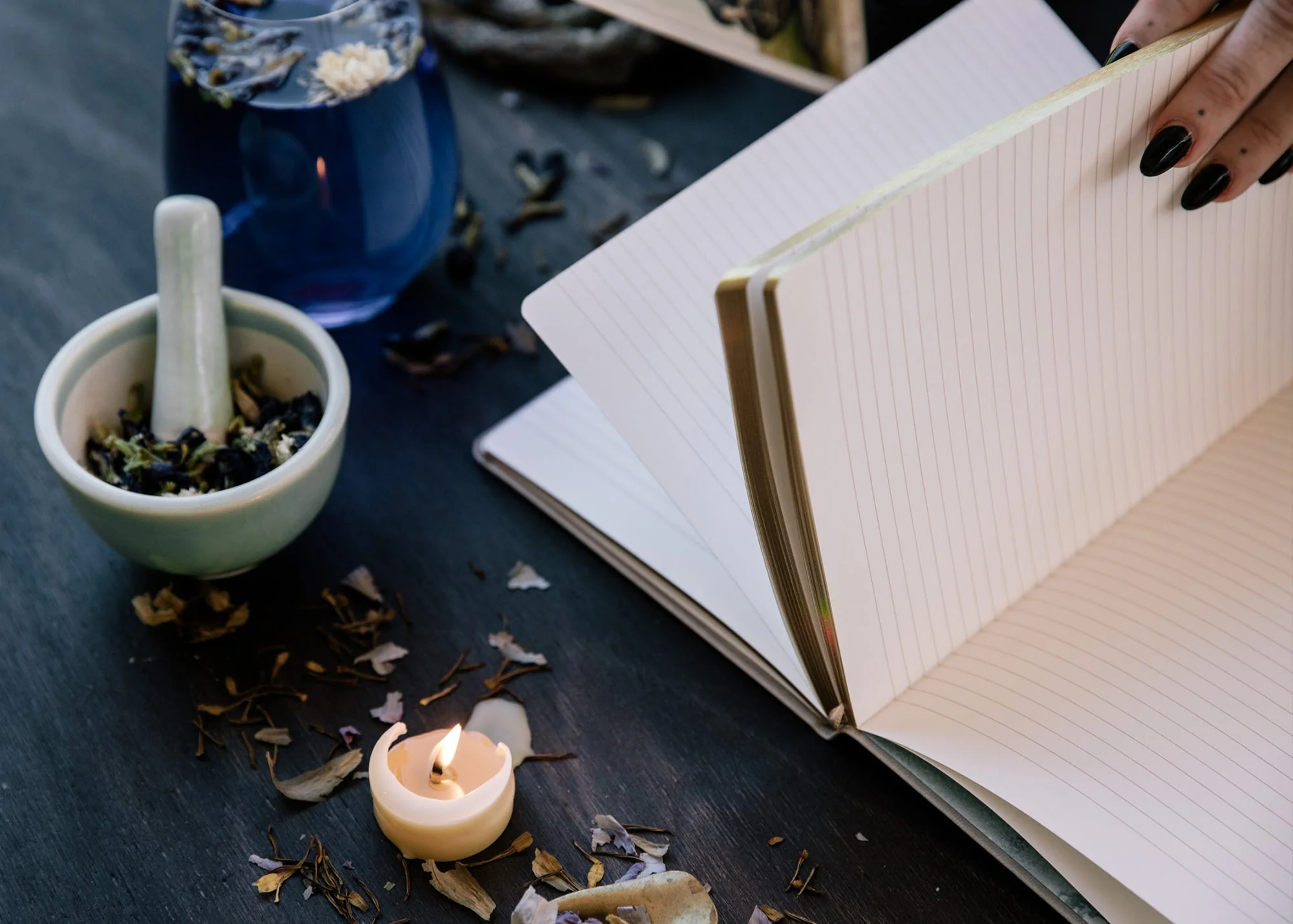 A5 BOTANICALS JOURNAL: XI - Image 3