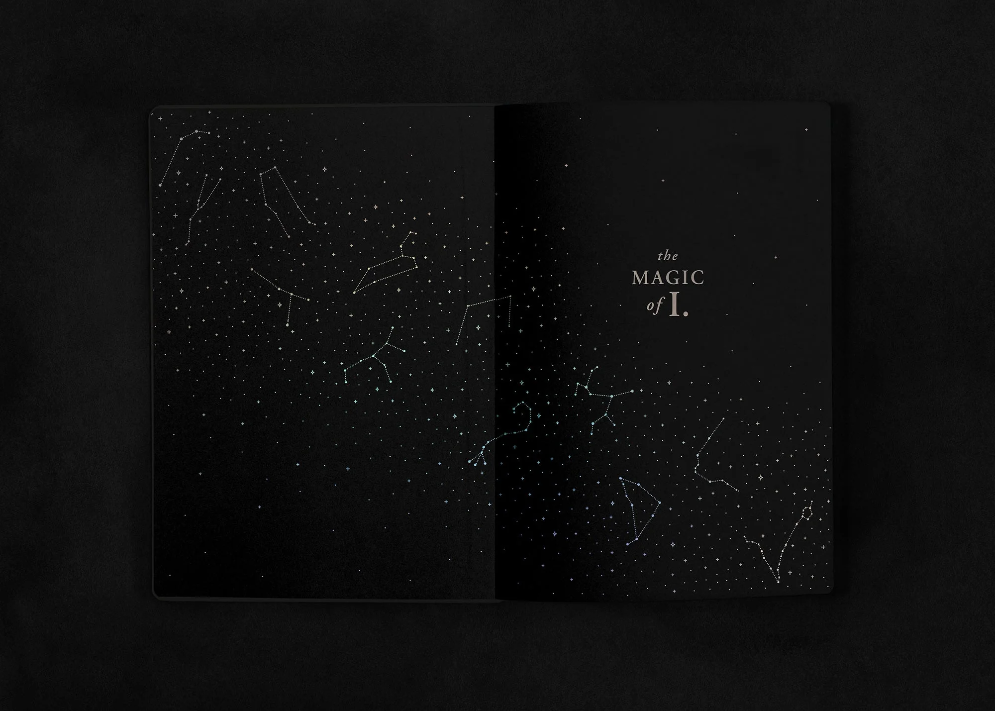 A5 ZODIAC JOURNAL: PISCES - Image 8